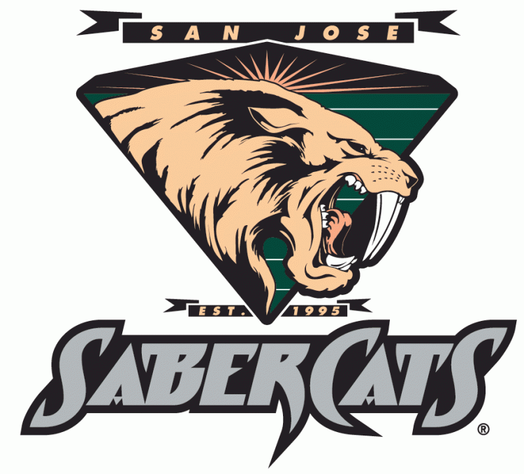 San Jose SaberCats 1995-Pres Primary Logo iron on transfers for clothing